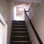 Horsehair wall repairs