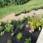 Steps and landscaping