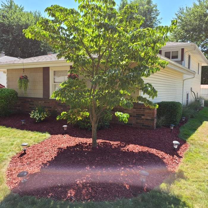 North Olmsted Mulch Job