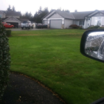 Yard work