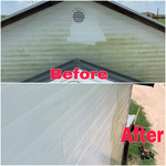 Mildew Removal