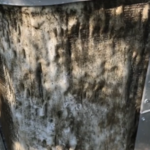 dirty condenser coil