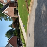 Sprinklers and Landscape