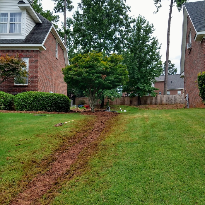 Sprinklers and Landscape