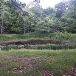 before photo