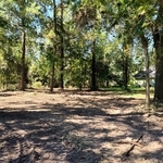 Residential Lot Clear