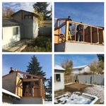 Shed demo in one day