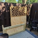 Painting fence and buildi