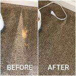 Carpet cleaning and carpet restoration