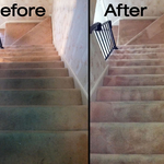 Carpet shampooing