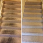 Shampooing carpet
