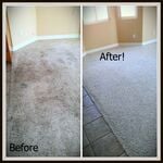 Shampooing carpet