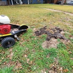 Woodway. Before