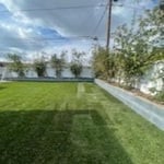 My work