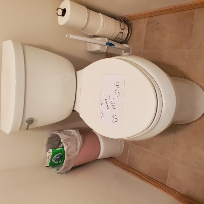 Toilet before