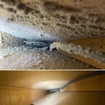 Before/After
