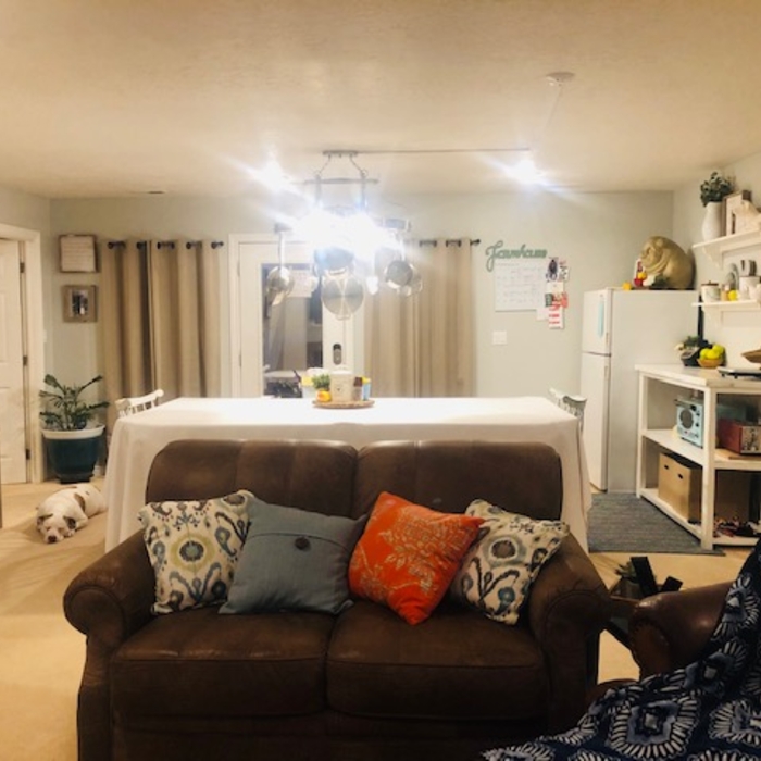 Family basement