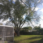 Before Removal