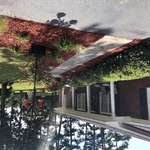 The Garden