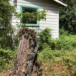 Property Clean Up