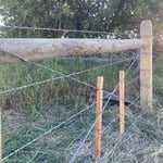 Finished Fence