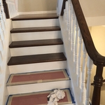 Our Work