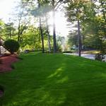 Landscape Maintenance