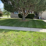 Weekly Cut