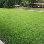 Lawn care