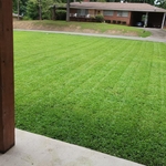 Lawn care