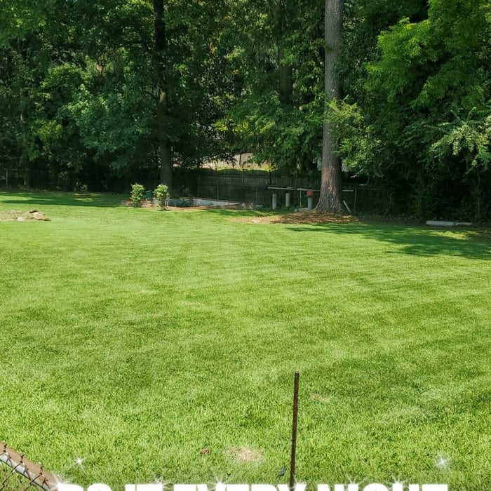 Yard clean up