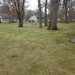 Back yard left