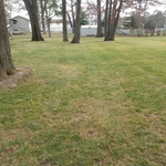 Back yard right