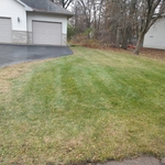 Front yard right