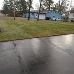 Front yard left