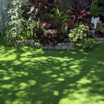 Garden Transformation