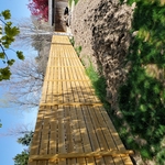 Custom Fence