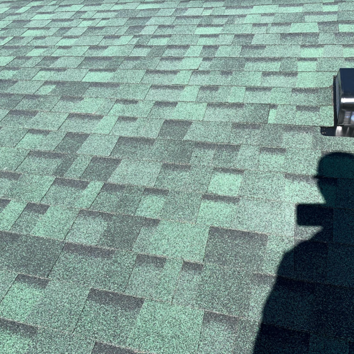 Owens Corning TruDefinition Chateau Green Shingles