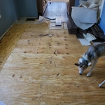 RIPPED OUT