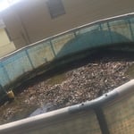 Pool cleaning