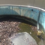 Pool residue