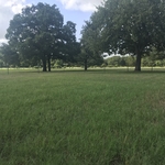 Lawn cutting