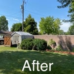 Billings, MT Tree Removal After