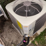 2020 Payne 5 ton condenser