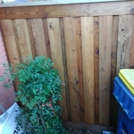 Privacy Fence