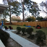 Privacy Fence
