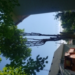 Almost Ready To Drop