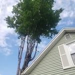 Removing Leads Evenly