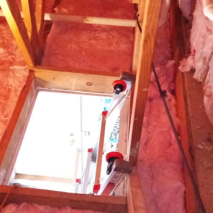 Our Work