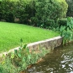 waters edge in need of attention